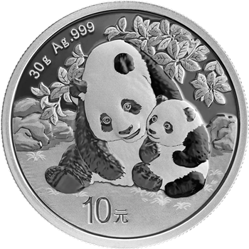 30g Silver Chinese Panda Coin 2024