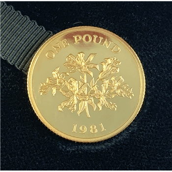 Guernsey £1 Gold Proof Coin