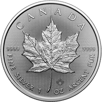 2025 Silver Maple 1 Oz - 25 Coin Tube